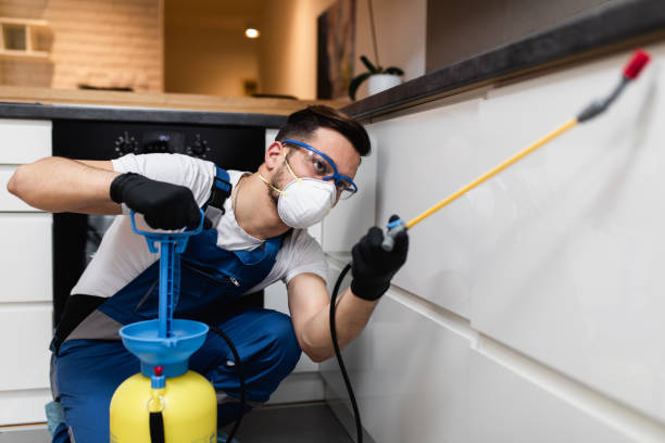 Pest Prevention Services in Buckhorn, CA