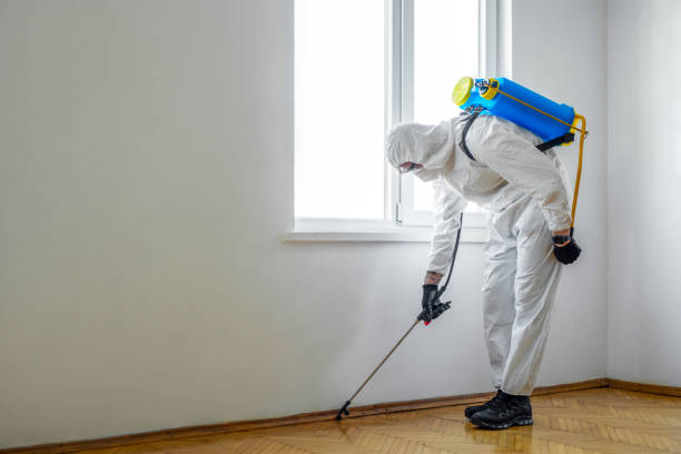 Best Wildlife Control Services  in Buckhorn, CA
