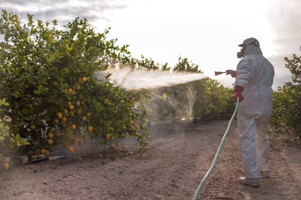 Best Commercial Pest Control Services  in Buckhorn, CA