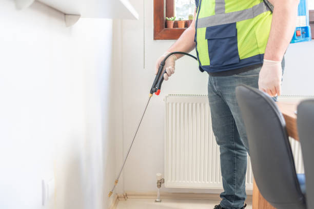 Best Flea Control Services  in Buckhorn, CA
