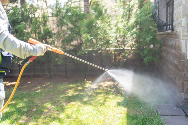 Best Wildlife Control Services  in Buckhorn, CA