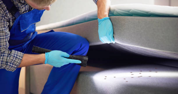 Best Best Pest Control Companies  in Buckhorn, CA