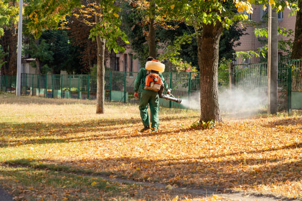 Best Spider Control Near Me  in Buckhorn, CA
