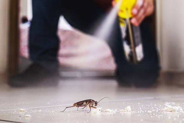 Wildlife Control Services in Buckhorn, CA