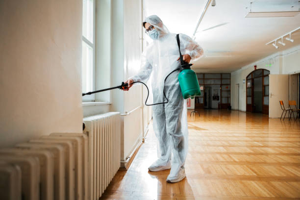 Best Residential Pest Control  in Buckhorn, CA