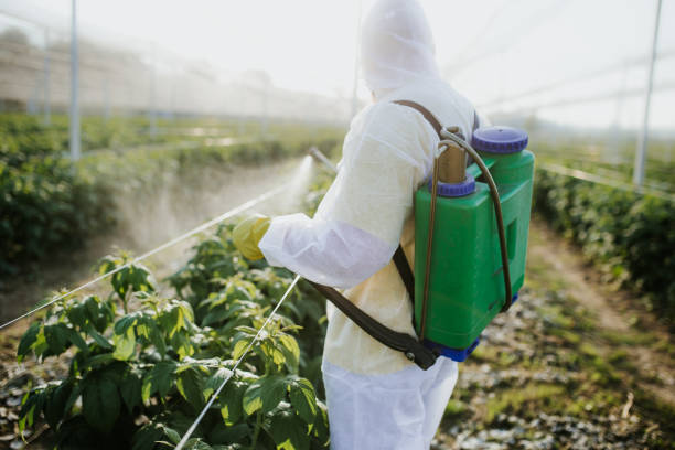 Best Rat Extermination Near Me  in Buckhorn, CA